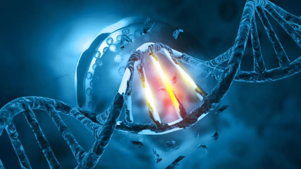 One tiny mutation may explain how bat viruses become human threats One tiny mutation may explain how bat viruses become human threats