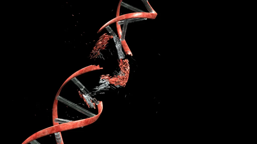 Scientists discover neurons must break their DNA to build the brain Scientists discover neurons must break their DNA to build the brain
