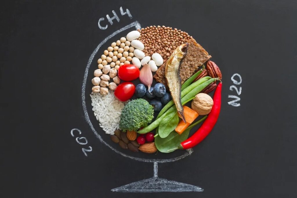 EAT-Lancet diet shift could cut global agriculture CO2 emissions 85% by 2050, researchers find EAT-Lancet diet shift could cut global agriculture CO2 emissions 85% by 2050, researchers find