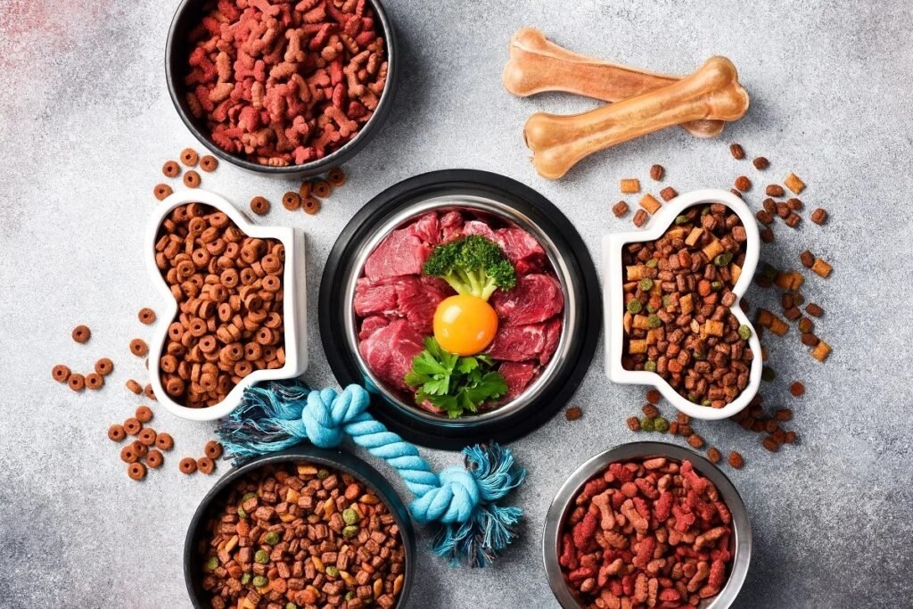Golden Child’s R&D VP unpacks “humanized” pet nutrition and microbiome science Golden Child’s R&D VP unpacks “humanized” pet nutrition and microbiome science