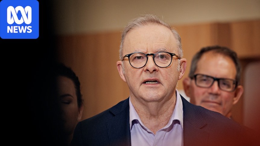 Albanese dashes hopes for new NT hospital during m maternity announcement Albanese dashes hopes for new NT hospital during m maternity announcement