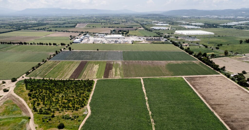 As Cyclospora Cases Climb, FDA Official Says Food Supply Is Safe