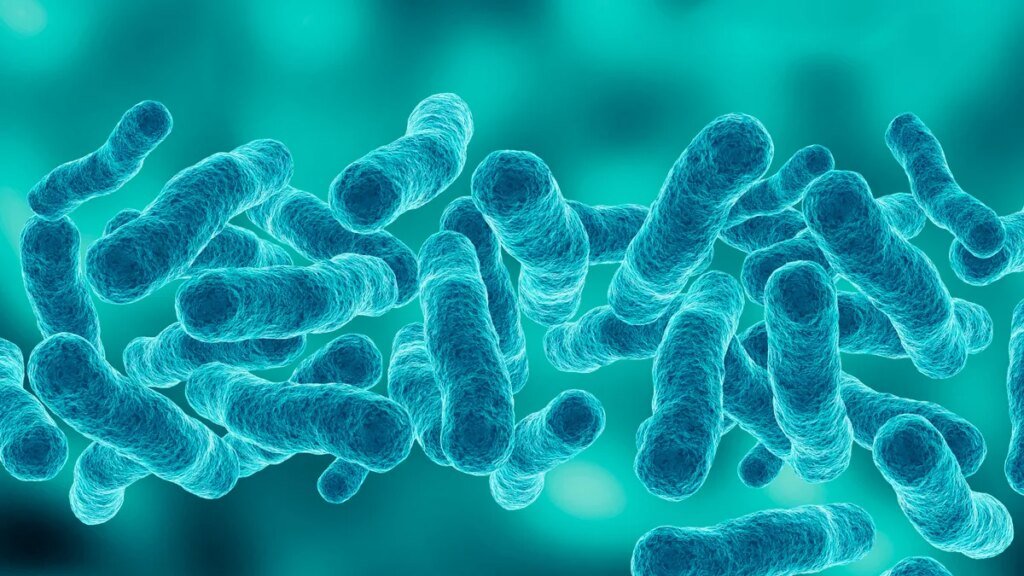 Fifth person dies in NYC Legionnaires’ outbreak, health officials say