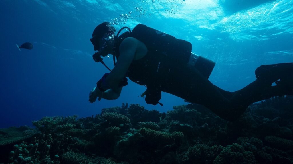 How to watch ‘Expedition X: Atomic Sharks’ from anywhere How to watch ‘Expedition X: Atomic Sharks’ from anywhere