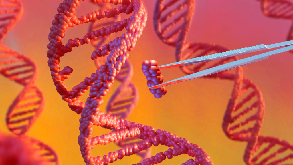 An experimental gene therapy killed a 6-year-old girl in China. Her parents are seeking accountability. An experimental gene therapy killed a 6-year-old girl in China. Her parents are seeking accountability.