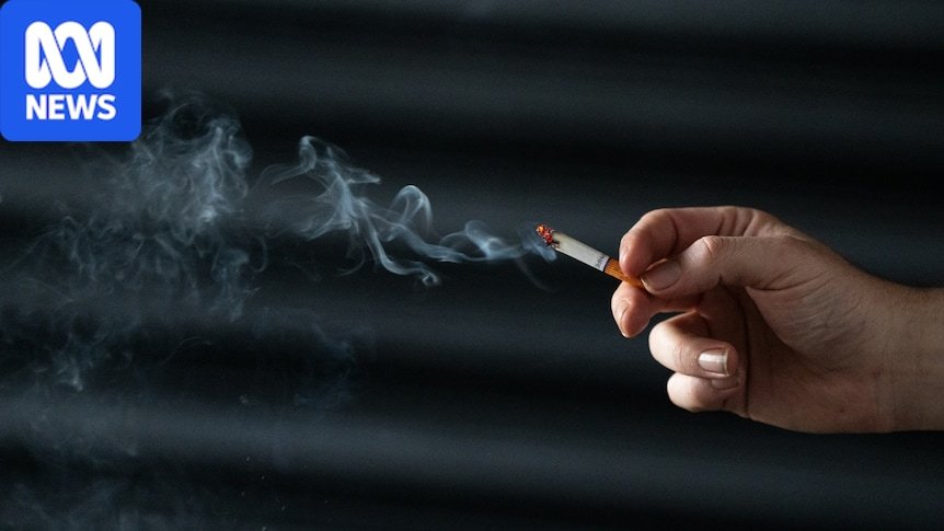 New report lists Melbourne and Sydney as world’s most expensive cities for beer and cigarettes New report lists Melbourne and Sydney as world’s most expensive cities for beer and cigarettes