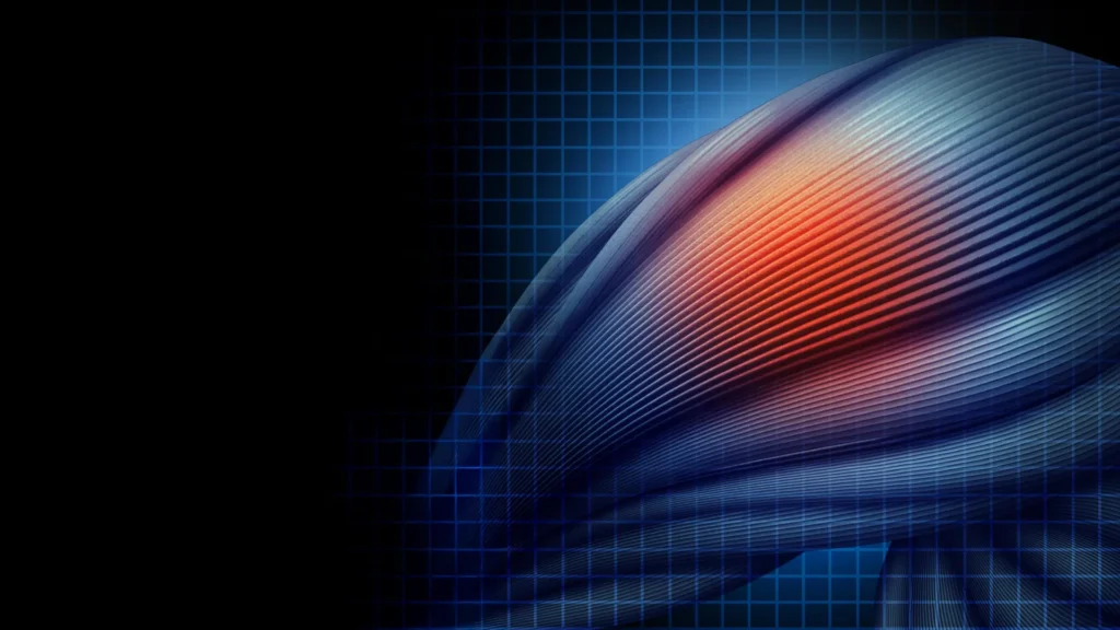 Old muscle stem cells can act young again but there’s a catch Old muscle stem cells can act young again but there’s a catch
