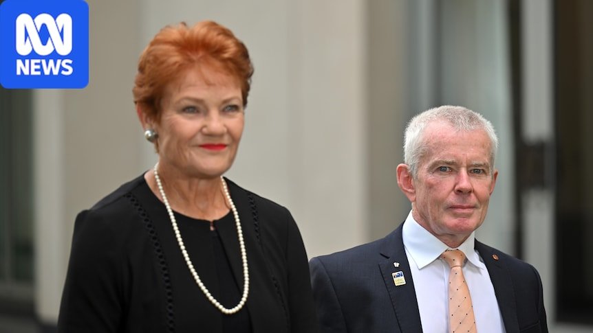 One Nation’s Malcolm Roberts falsely claimed COVID-19 vaccines caused miscarriages One Nation’s Malcolm Roberts falsely claimed COVID-19 vaccines caused miscarriages