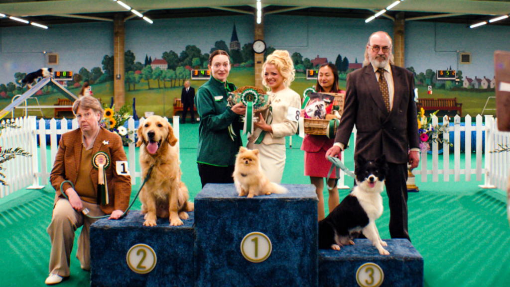Pets at Home Celebrates the Perfect Poo in Nutrition Campaign Pets at Home Celebrates the Perfect Poo in Nutrition Campaign