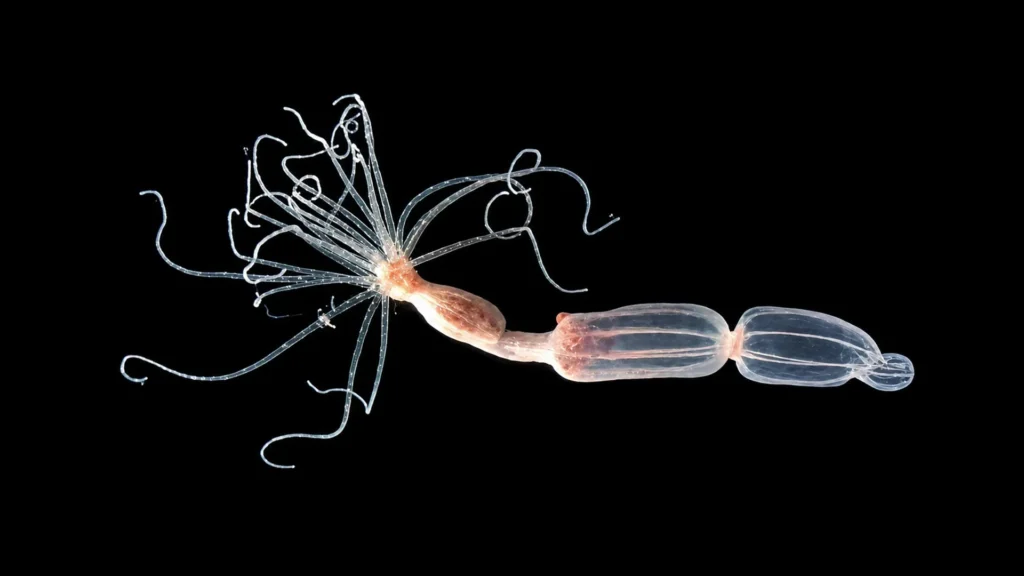 Scientists discover a completely different way to fight viruses Scientists discover a completely different way to fight viruses