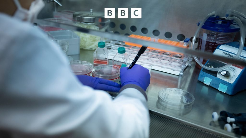 The Inquiry – Are we closer to gene therapy for sickle cell disease being accessible? The Inquiry – Are we closer to gene therapy for sickle cell disease being accessible?