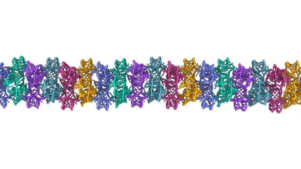 RNA can form large 3D structures, suggesting a new role for the molecule in the origin of life on Earth