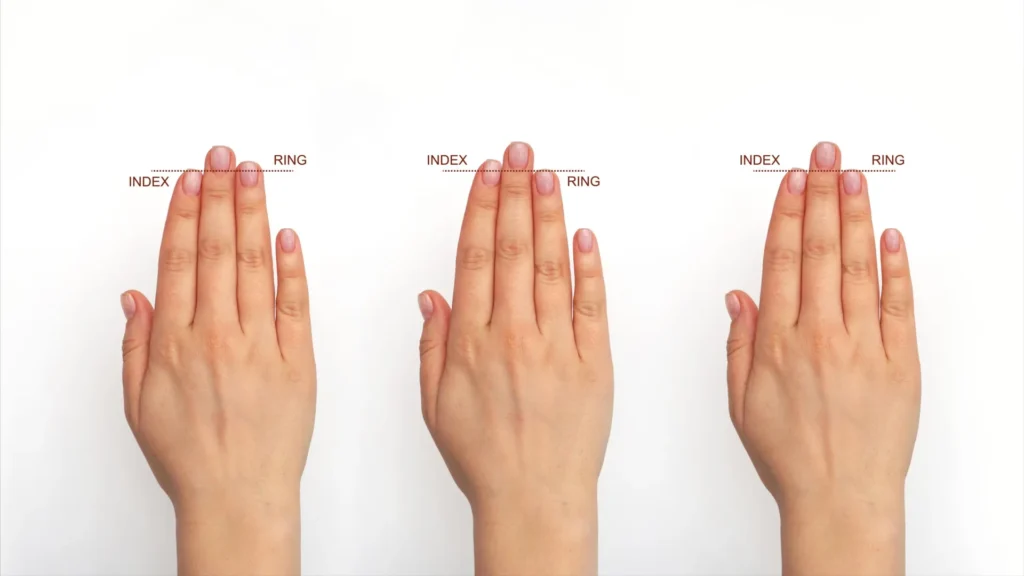 Your fingers may hold a secret of human brain evolution Your fingers may hold a secret of human brain evolution