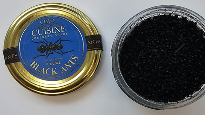 A Michelin-starred restaurant in South Korea put ants on a dessert. Now its owner could face jail time A Michelin-starred restaurant in South Korea put ants on a dessert. Now its owner could face jail time