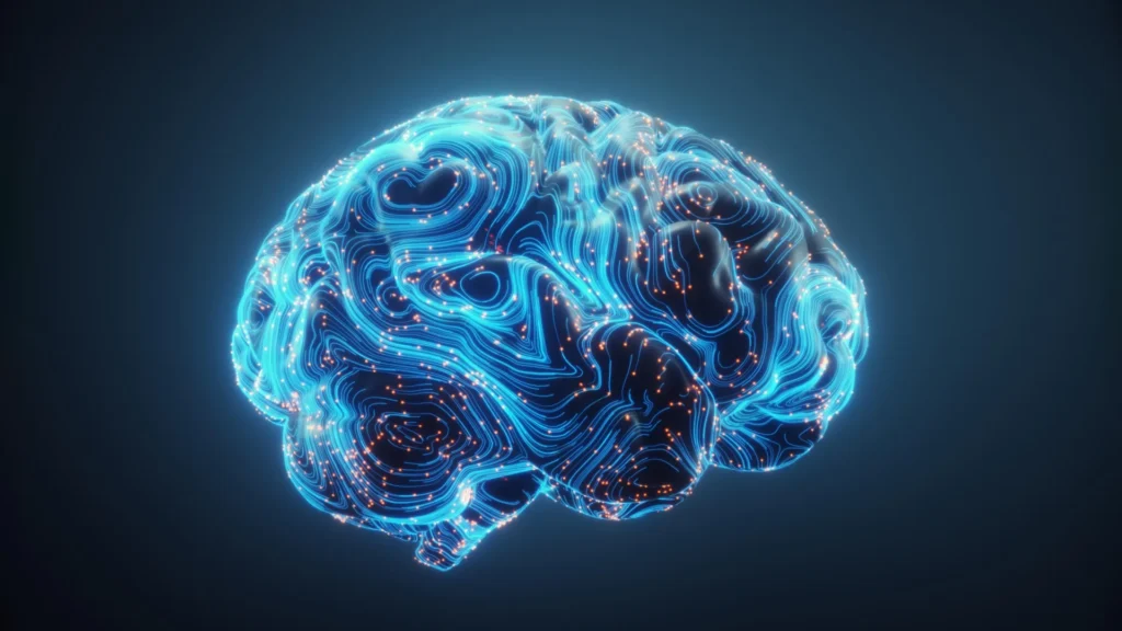 Scientists discover how the brain rewires itself to truly multitask Scientists discover how the brain rewires itself to truly multitask