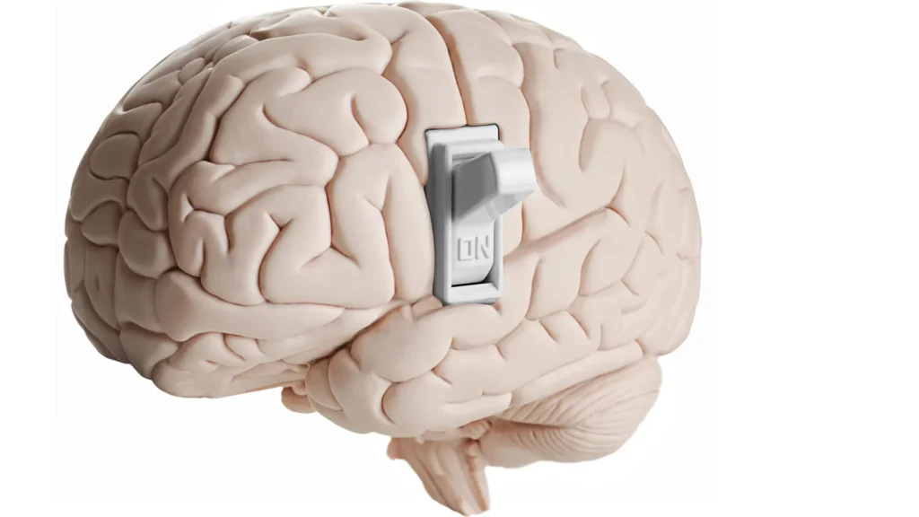 Scientists discover hidden brain switch that tells you to stop eating Scientists discover hidden brain switch that tells you to stop eating