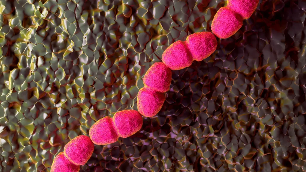 Scientists discover why some wounds refuse to heal Scientists discover why some wounds refuse to heal
