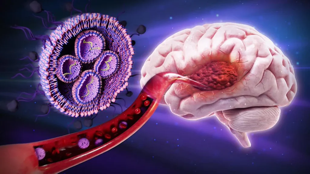 This sugar-coated therapy boosted survival against deadly brain cancer by 50% in mice This sugar-coated therapy boosted survival against deadly brain cancer by 50% in mice