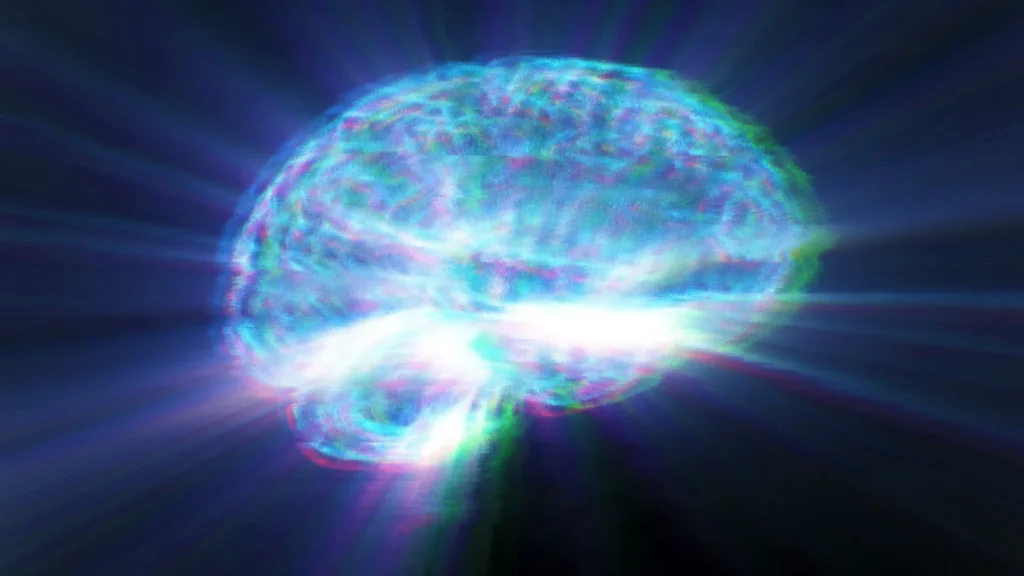 The fat you can’t see could be shrinking your brain The fat you can’t see could be shrinking your brain