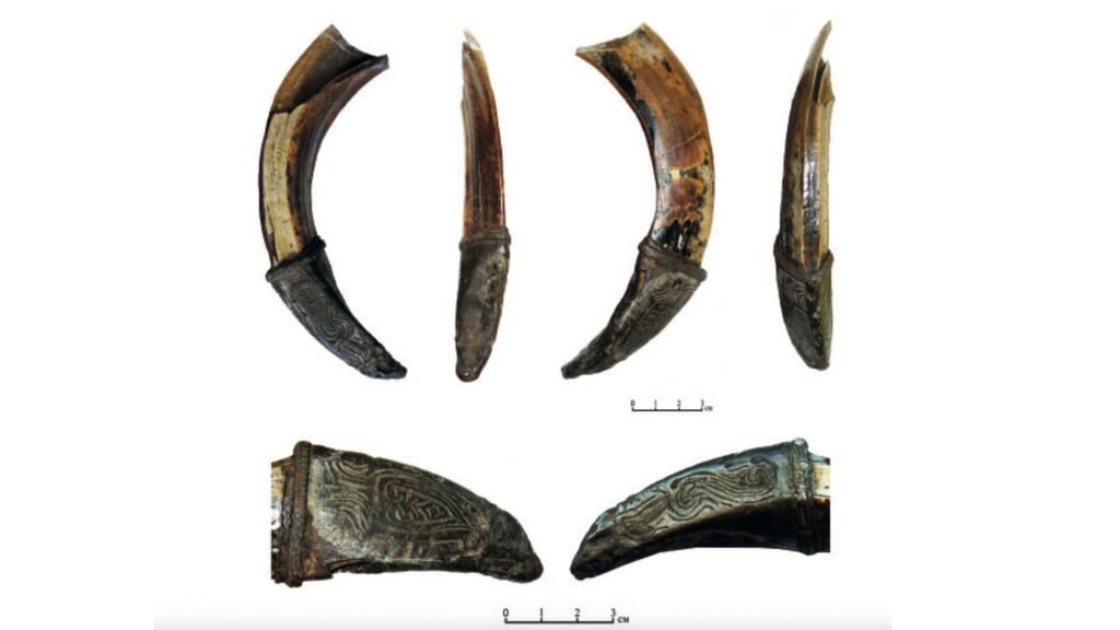 Decorated wild-boar tusk found in Russia may have been medieval warrior’s good-luck charm Decorated wild-boar tusk found in Russia may have been medieval warrior’s good-luck charm