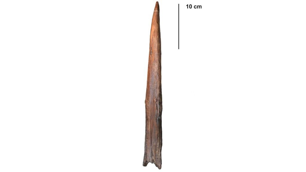 What’s the oldest weapon in the world? What’s the oldest weapon in the world?