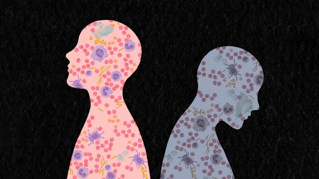 Scientists discover how life experiences rewrite the immune system Scientists discover how life experiences rewrite the immune system