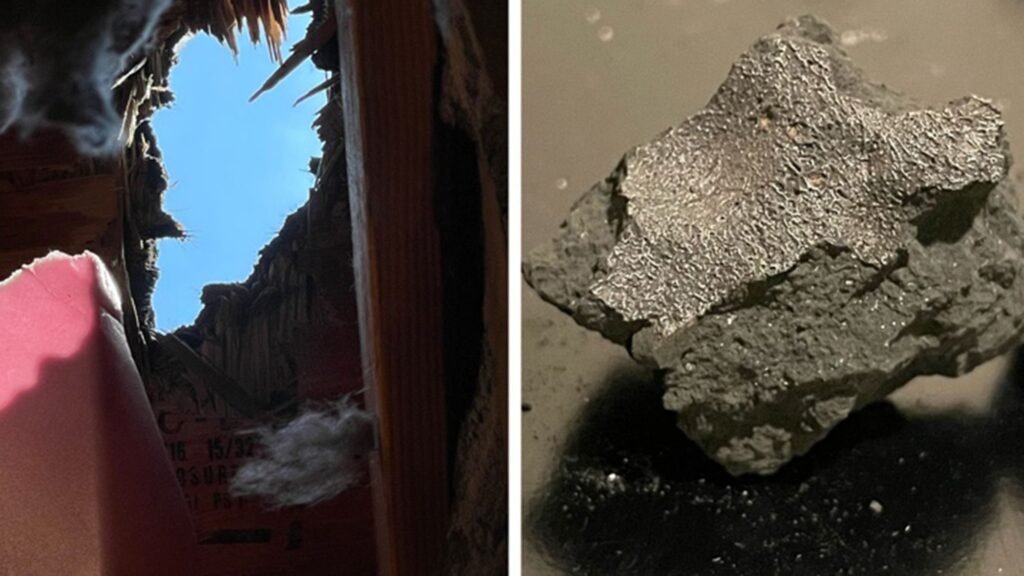 ‘Fireball’ meteorite that smashed into New Jersey home contains ingredients of life from ancient proto-planet ‘Fireball’ meteorite that smashed into New Jersey home contains ingredients of life from ancient proto-planet