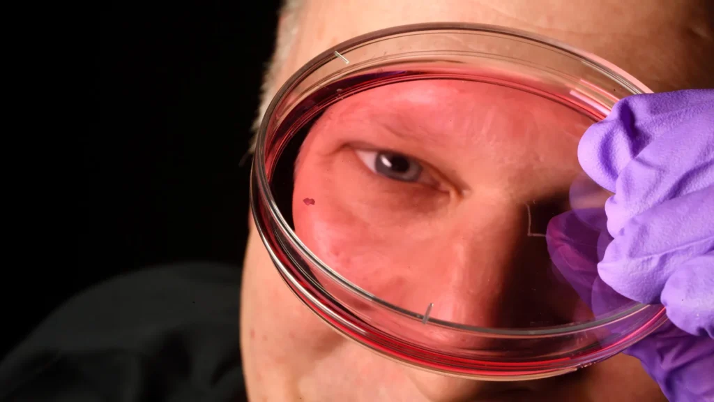 A vitamin A discovery is changing what scientists know about vision A vitamin A discovery is changing what scientists know about vision