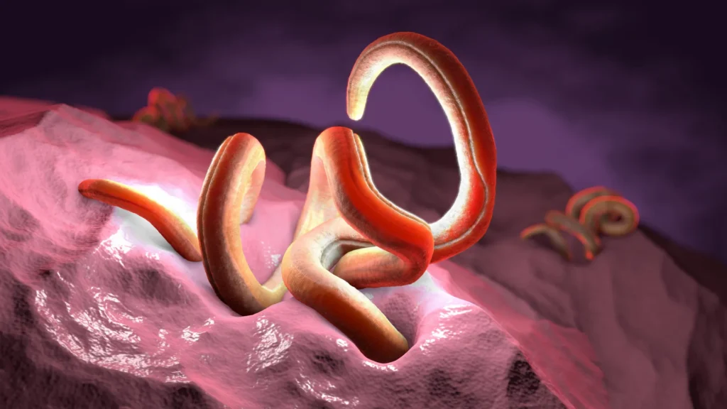 Scientists discover the one nutrient beneficial parasites can’t live without Scientists discover the one nutrient beneficial parasites can’t live without
