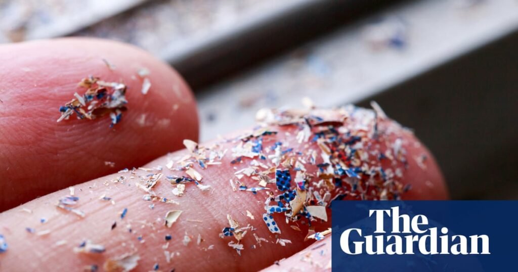 Rising microplastics in soil a threat to UK food security, MPs and campaigners say | Plastics