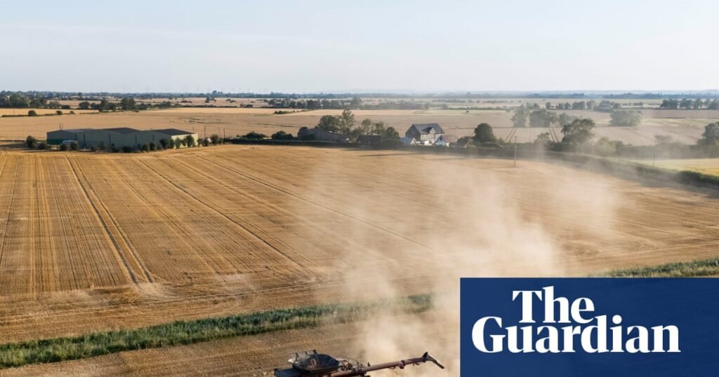 Britain could face food shortages as drought continues, farmers warn | Farming Britain could face food shortages as drought continues, farmers warn | Farming