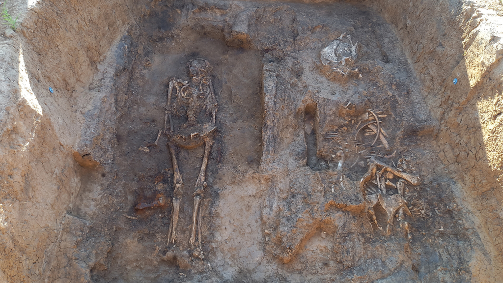 Archaeologists unearth a medieval nobleman buried with his horse and dog in a rare wooden tomb in Russia Archaeologists unearth a medieval nobleman buried with his horse and dog in a rare wooden tomb in Russia