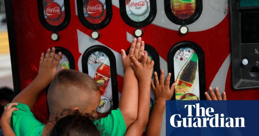 Ultra-processed food companies hindering health drives by suing countries, says WHO | Ultra-processed foods Ultra-processed food companies hindering health drives by suing countries, says WHO | Ultra-processed foods