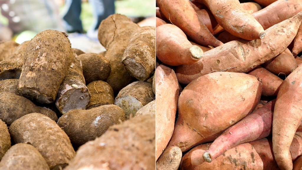 What’s the difference between sweet potatoes and yams?