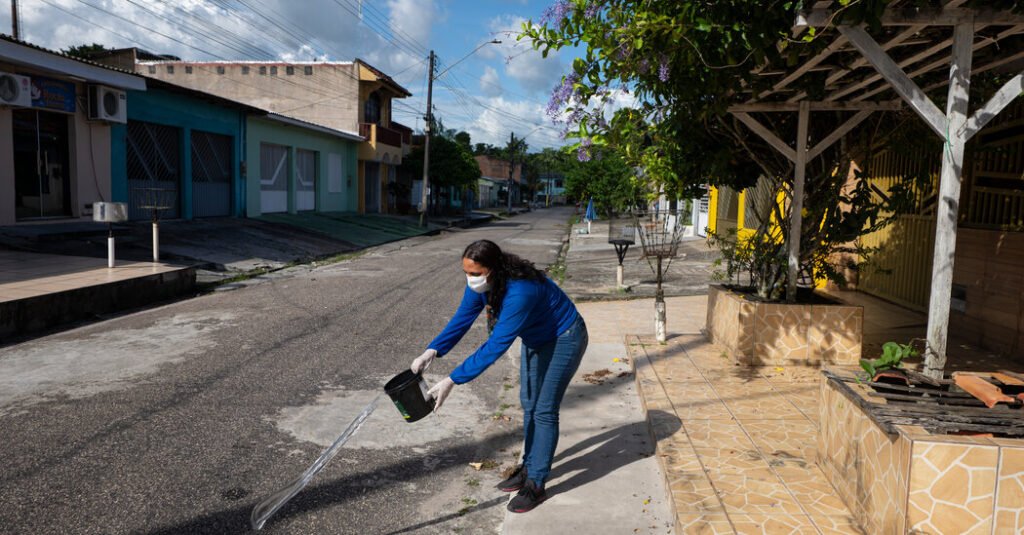A City Mobilizes Against a Stubborn Health Threat: Mosquitoes