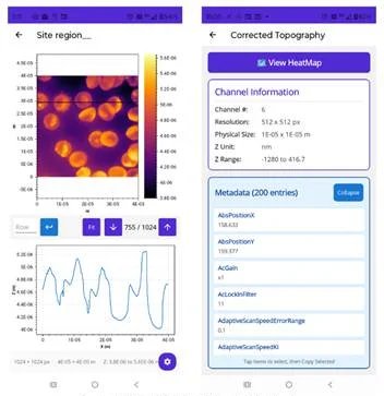 AFM data shouldn’t need a workstation just to be looked at AFM data shouldn’t need a workstation just to be looked at