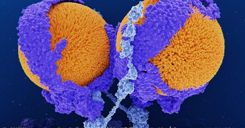An Experimental Single-Time Treatment Slashed Cholesterol for a Year