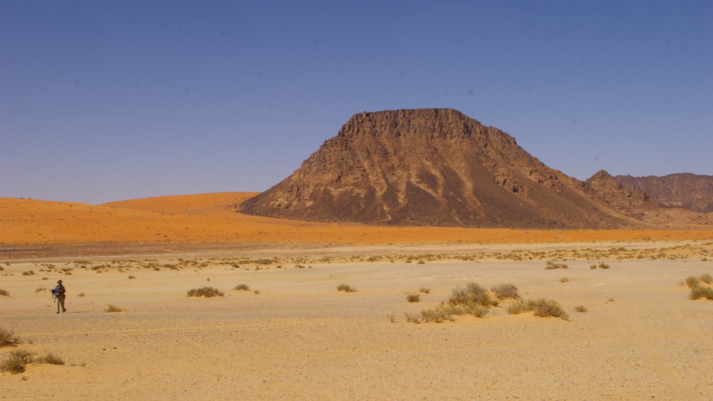 Neanderthals may have trekked through the Saudi Arabian desert 55,000 years ago, farther south than experts thought possible Neanderthals may have trekked through the Saudi Arabian desert 55,000 years ago, farther south than experts thought possible