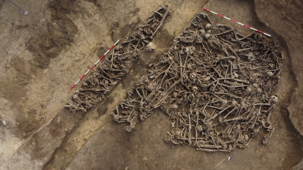 ‘The lance head was still inside the pelvis:’ Mass grave found in Austria may hold casualties of unknown ancient Roman battle