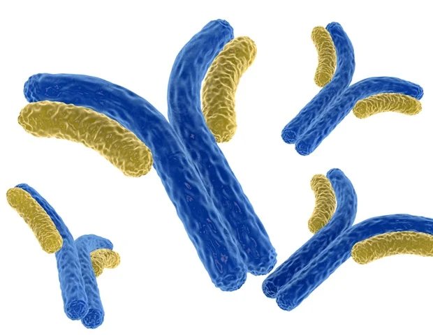 FairJourney Bio delivers antibody engineering for novel tumor-conditional IL-12 therapeutic approach that unlocks the potential of localized cytokine activation FairJourney Bio delivers antibody engineering for novel tumor-conditional IL-12 therapeutic approach that unlocks the potential of localized cytokine activation
