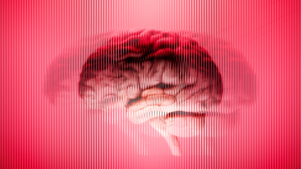Lab-grown minibrains may not develop like real brains do, posing potential problems for research