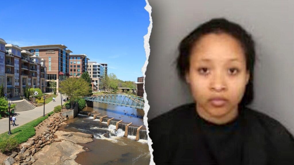 Lyft driver stabbing suspect denied bond over alleged mental health crisis