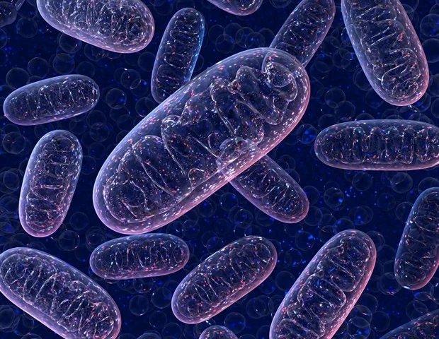 Mitochondrial transplantation helps repair donor organs during machine perfusion Mitochondrial transplantation helps repair donor organs during machine perfusion