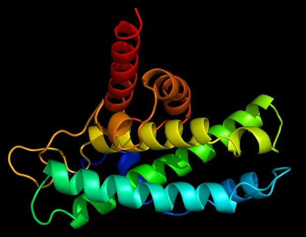 Monod Bio licenses AI-designed protein technologies to SignalChem Biotech for custom discovery assays Monod Bio licenses AI-designed protein technologies to SignalChem Biotech for custom discovery assays