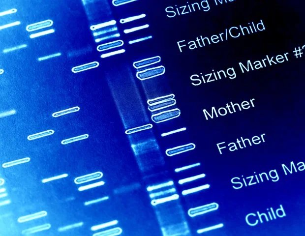 New machine learning model improves accuracy of prenatal genetic testing New machine learning model improves accuracy of prenatal genetic testing
