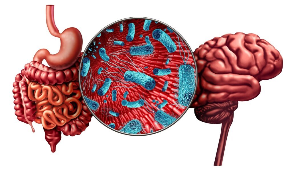 Probiotics for mental health? A new review finds promising signals and major gaps Probiotics for mental health? A new review finds promising signals and major gaps