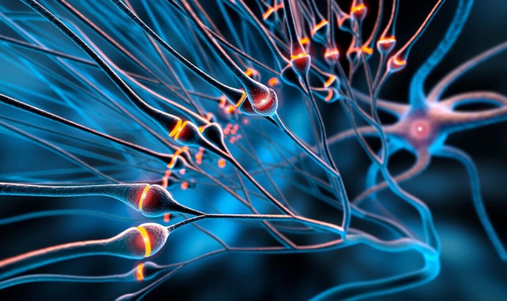 Real-time neurotransmitter detection