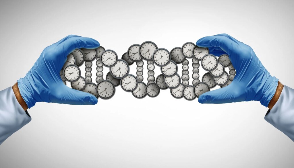 Scientists compared 51 longevity studies to see which aging biomarkers respond most reliably