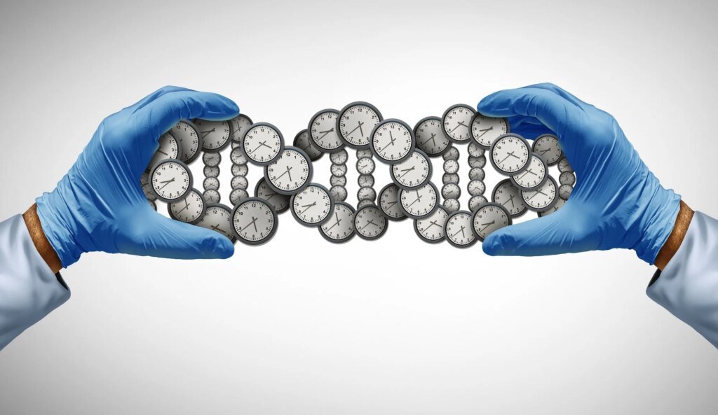 Simple biological age score flags higher cognitive decline risk in older adults Simple biological age score flags higher cognitive decline risk in older adults