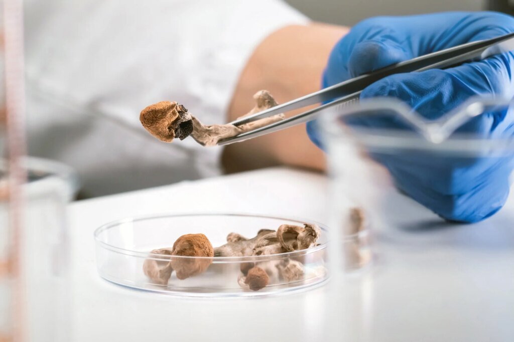 Single-dose psilocybin shows promise for treatment-resistant depression in NHS trial Single-dose psilocybin shows promise for treatment-resistant depression in NHS trial